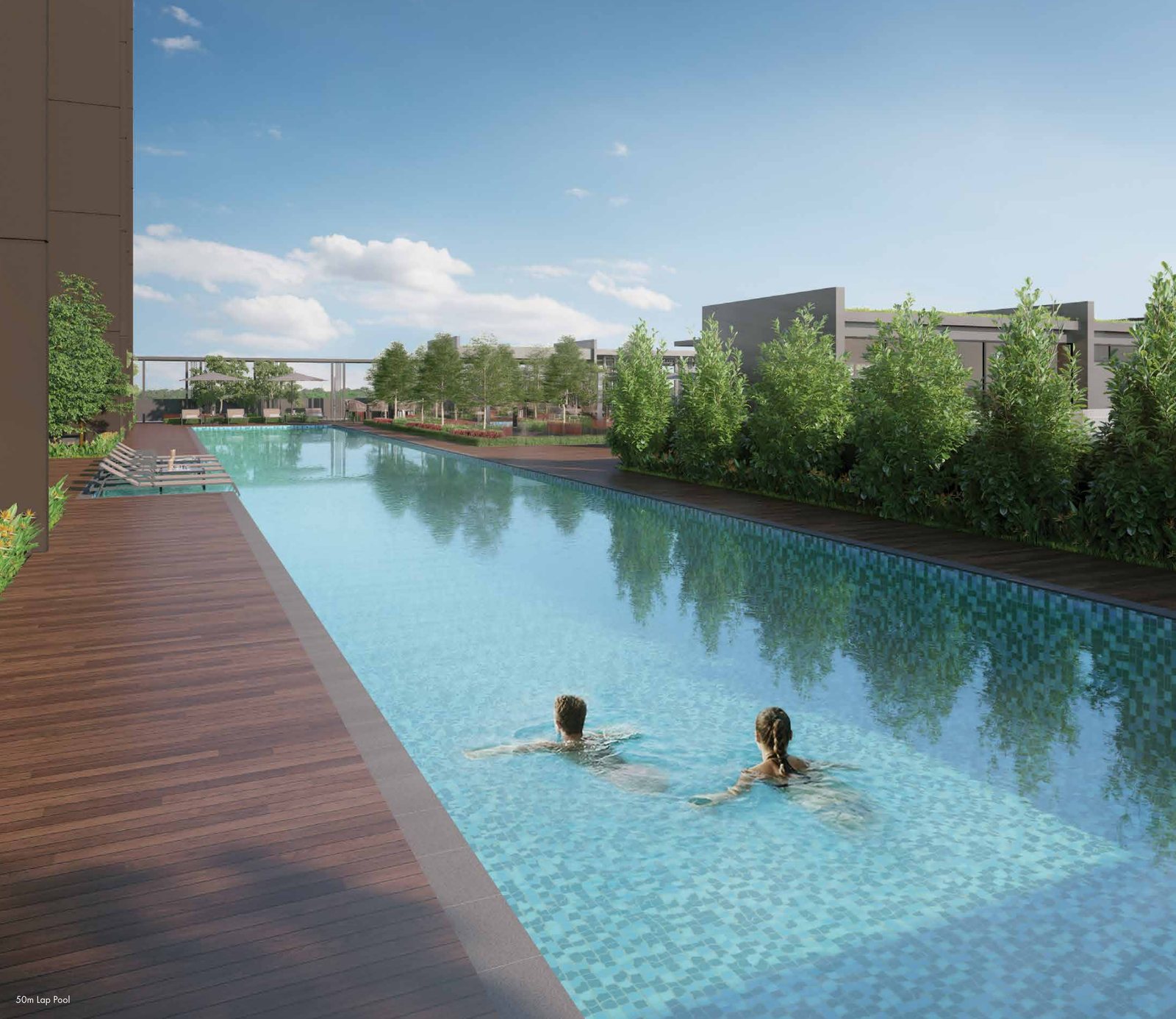 50m lap pool (artist’s impression)